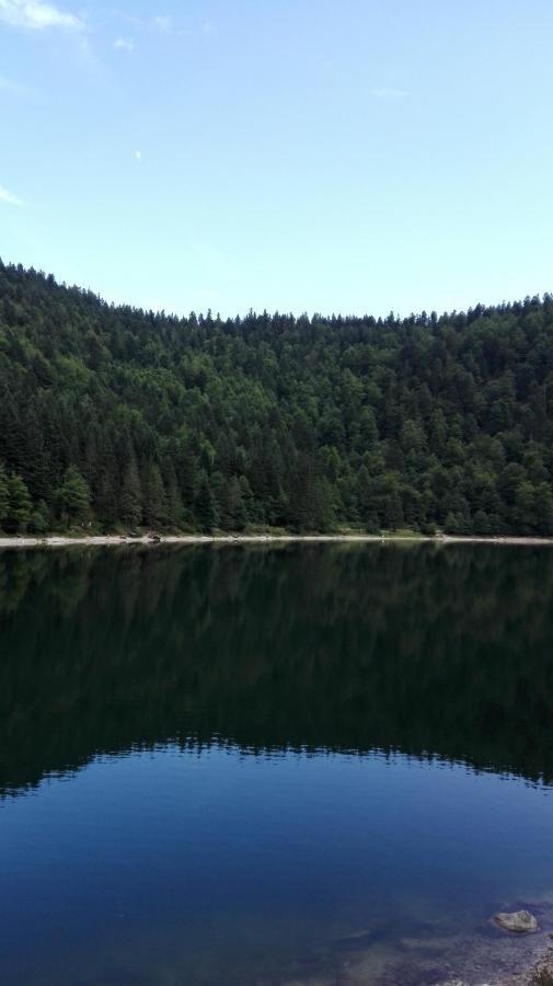 Gite 13 personnes- 7 pièces - wifi - ménage compris - 2 kms du lac des corbeaux - proche pistes navette hivernale à moins de 100m - par aventure le bol d'air à 250m La Bresse Extérieur photo