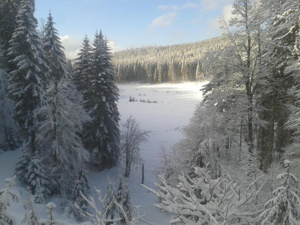 Gite 13 personnes- 7 pièces - wifi - ménage compris - 2 kms du lac des corbeaux - proche pistes navette hivernale à moins de 100m - par aventure le bol d'air à 250m La Bresse Extérieur photo