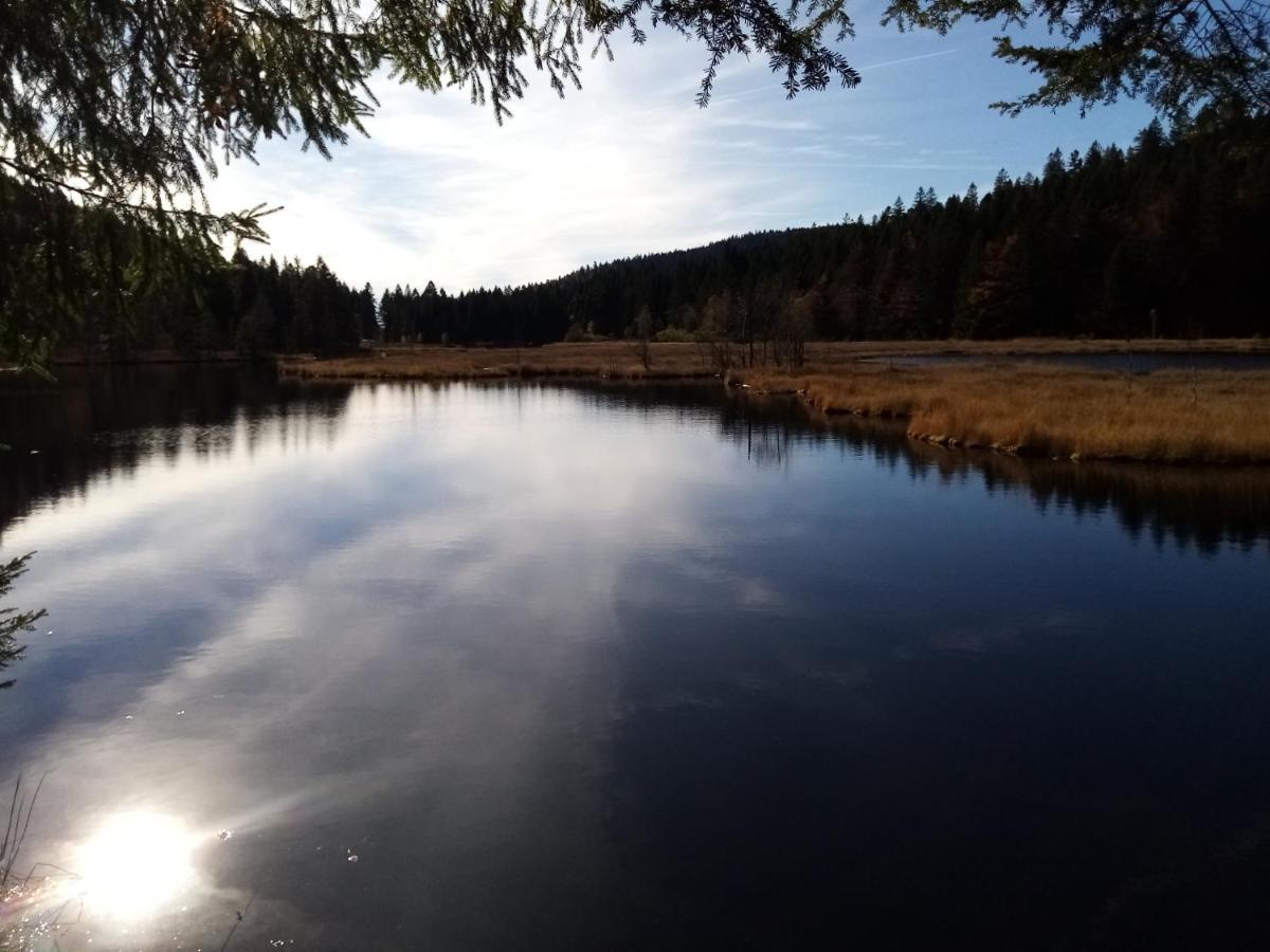 Gite 13 personnes- 7 pièces - wifi - ménage compris - 2 kms du lac des corbeaux - proche pistes navette hivernale à moins de 100m - par aventure le bol d'air à 250m La Bresse Extérieur photo