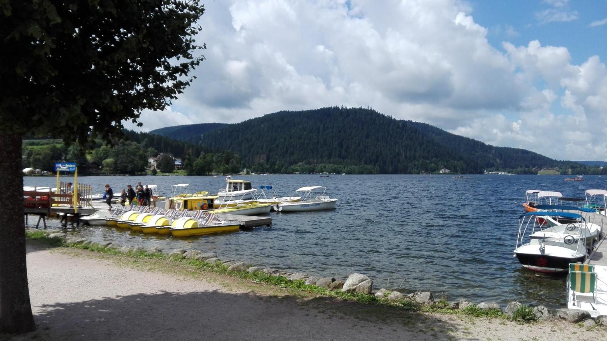 Gite 13 personnes- 7 pièces - wifi - ménage compris - 2 kms du lac des corbeaux - proche pistes navette hivernale à moins de 100m - par aventure le bol d'air à 250m La Bresse Extérieur photo