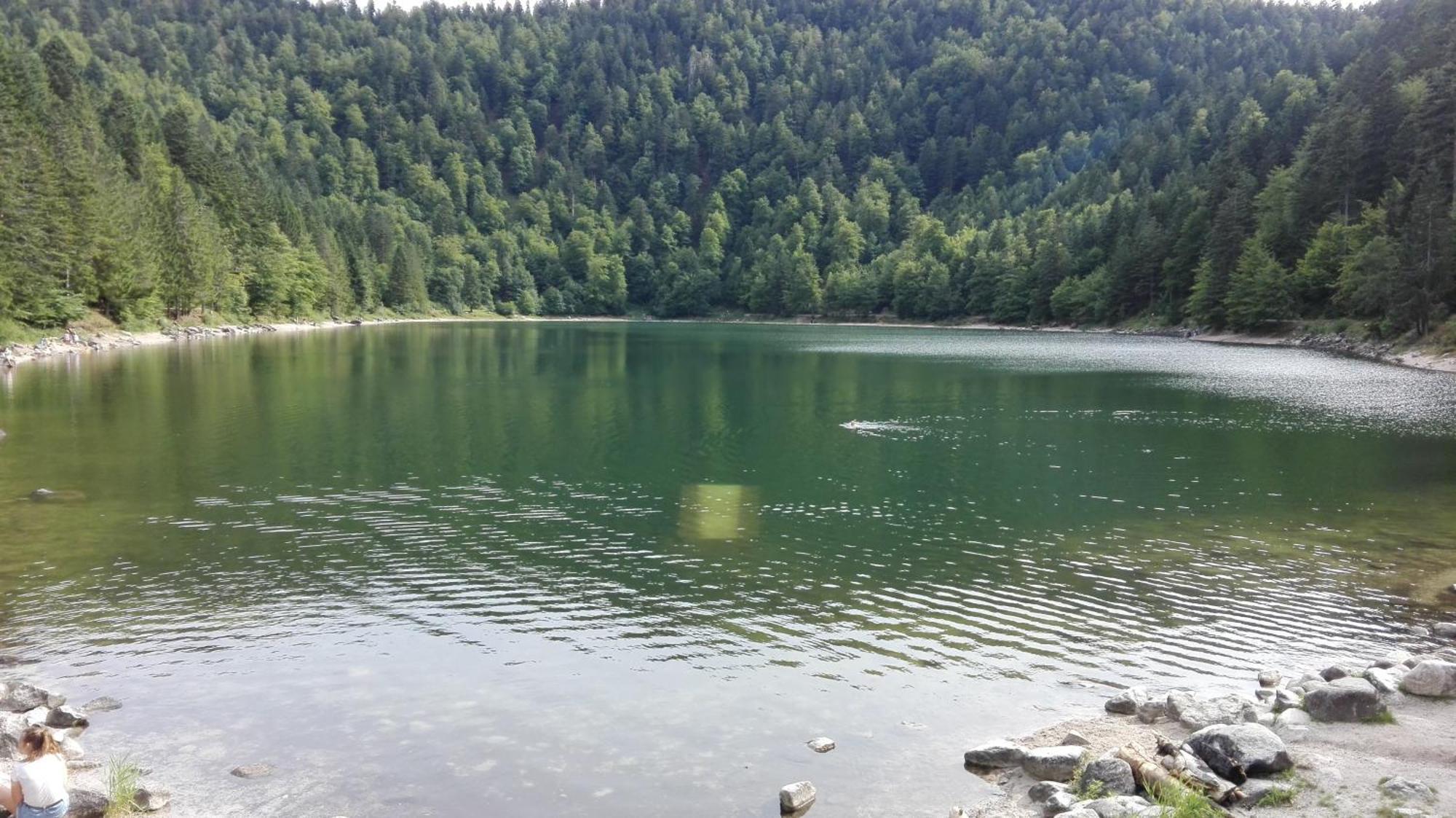 Gite 13 personnes- 7 pièces - wifi - ménage compris - 2 kms du lac des corbeaux - proche pistes navette hivernale à moins de 100m - par aventure le bol d'air à 250m La Bresse Extérieur photo