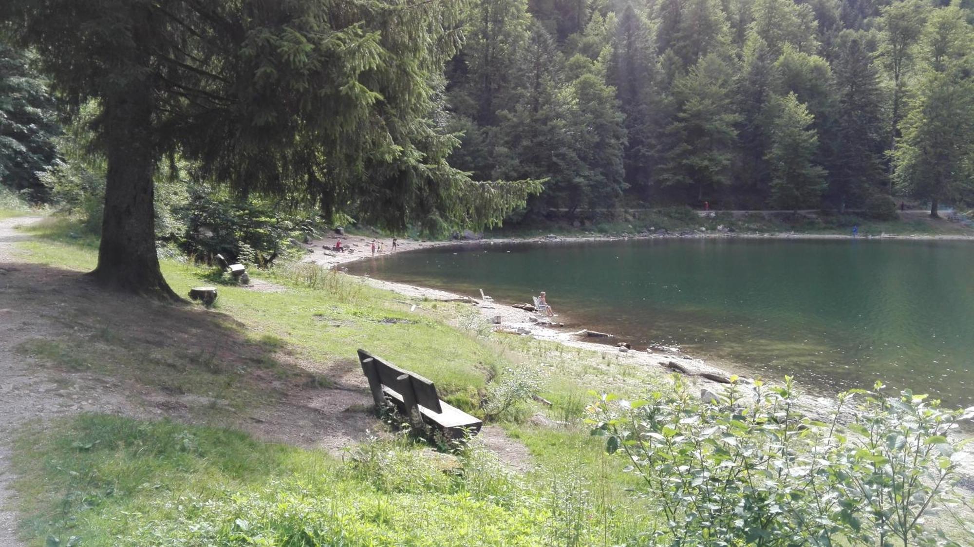 Gite 13 personnes- 7 pièces - wifi - ménage compris - 2 kms du lac des corbeaux - proche pistes navette hivernale à moins de 100m - par aventure le bol d'air à 250m La Bresse Extérieur photo