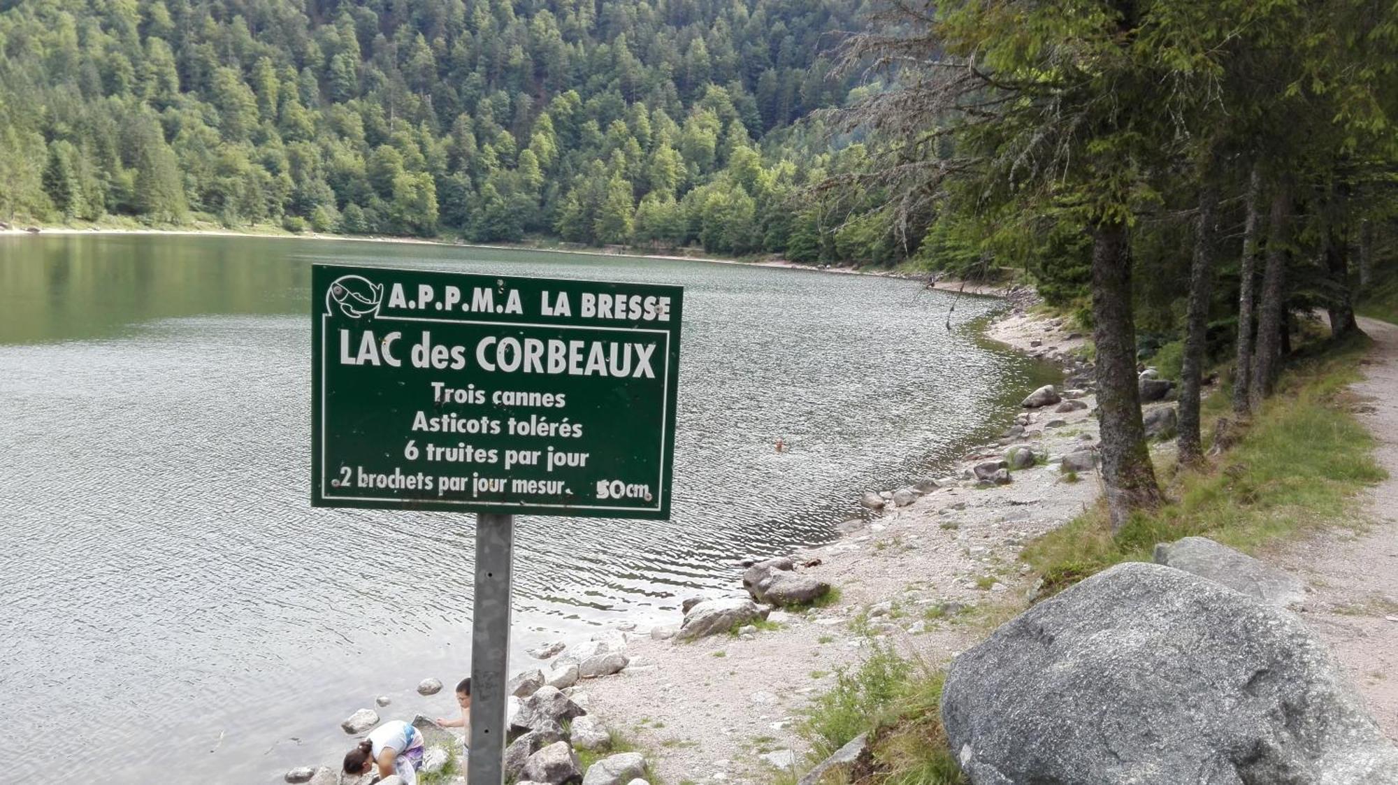 Gite 13 personnes- 7 pièces - wifi - ménage compris - 2 kms du lac des corbeaux - proche pistes navette hivernale à moins de 100m - par aventure le bol d'air à 250m La Bresse Extérieur photo
