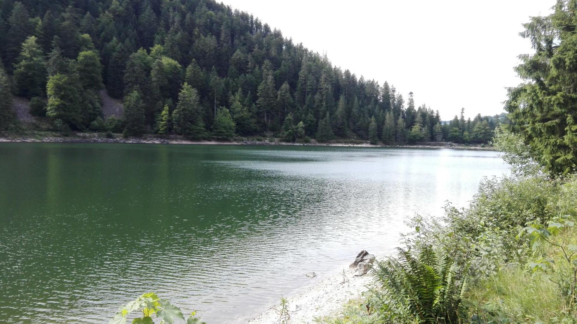 Gite 13 personnes- 7 pièces - wifi - ménage compris - 2 kms du lac des corbeaux - proche pistes navette hivernale à moins de 100m - par aventure le bol d'air à 250m La Bresse Extérieur photo