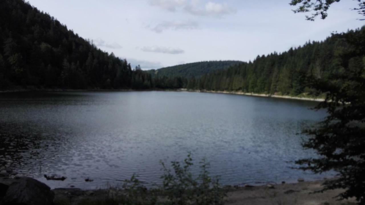 Gite 13 personnes- 7 pièces - wifi - ménage compris - 2 kms du lac des corbeaux - proche pistes navette hivernale à moins de 100m - par aventure le bol d'air à 250m La Bresse Extérieur photo